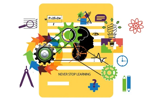 Как выбрать онлайн-курс по бизнес-тренингу: путеводитель для начинающего тренера